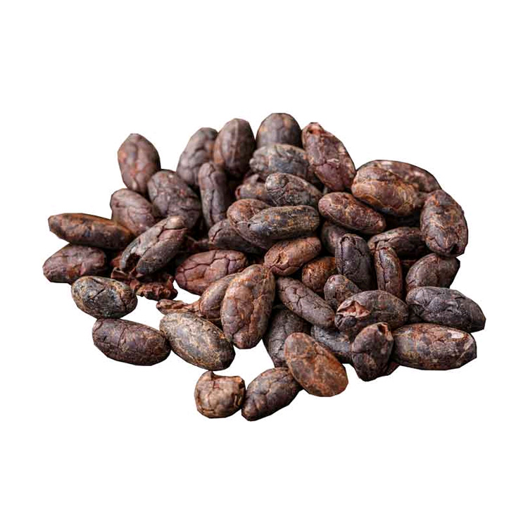 Cocoa Beans