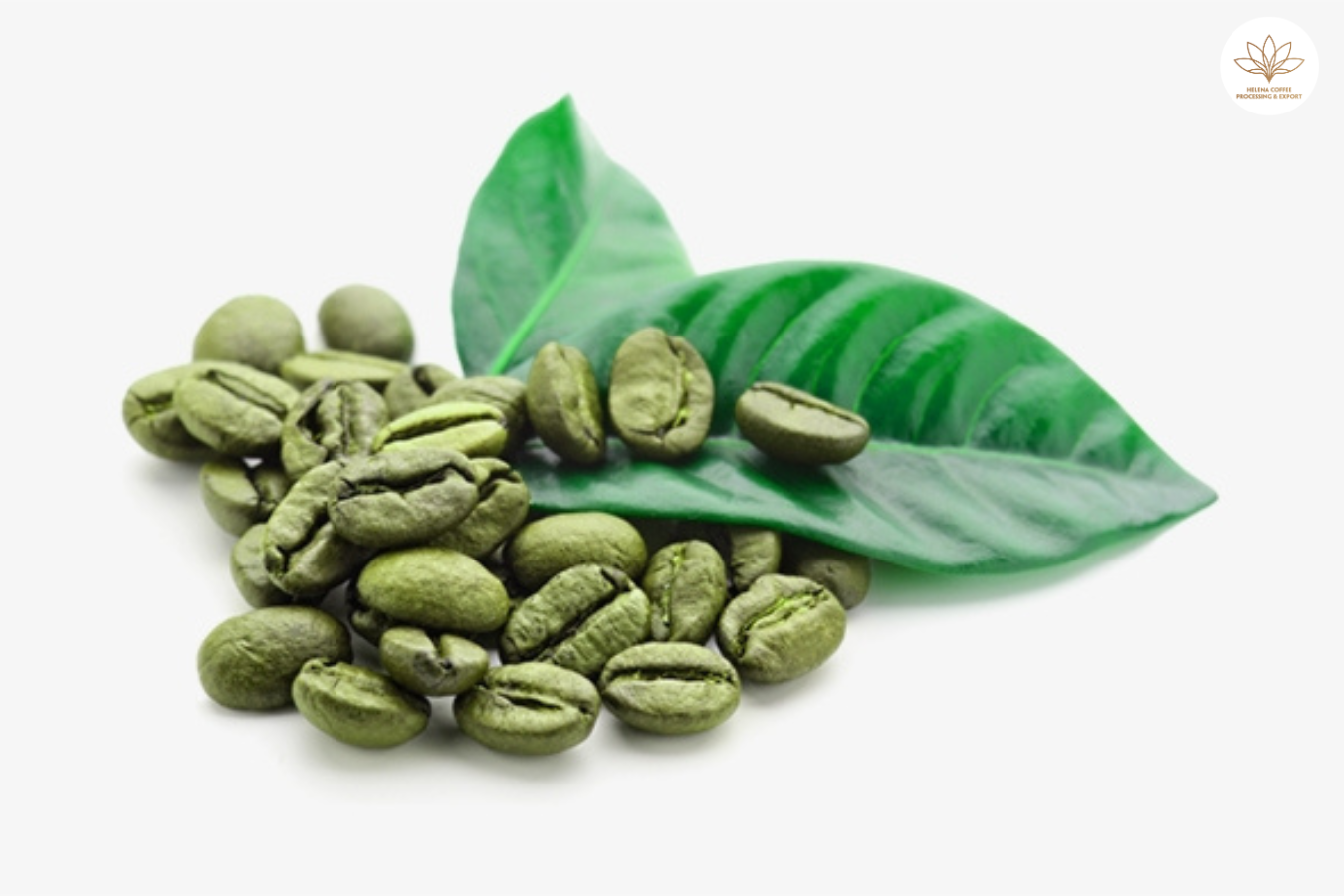 Coffee Green Beans Arabica